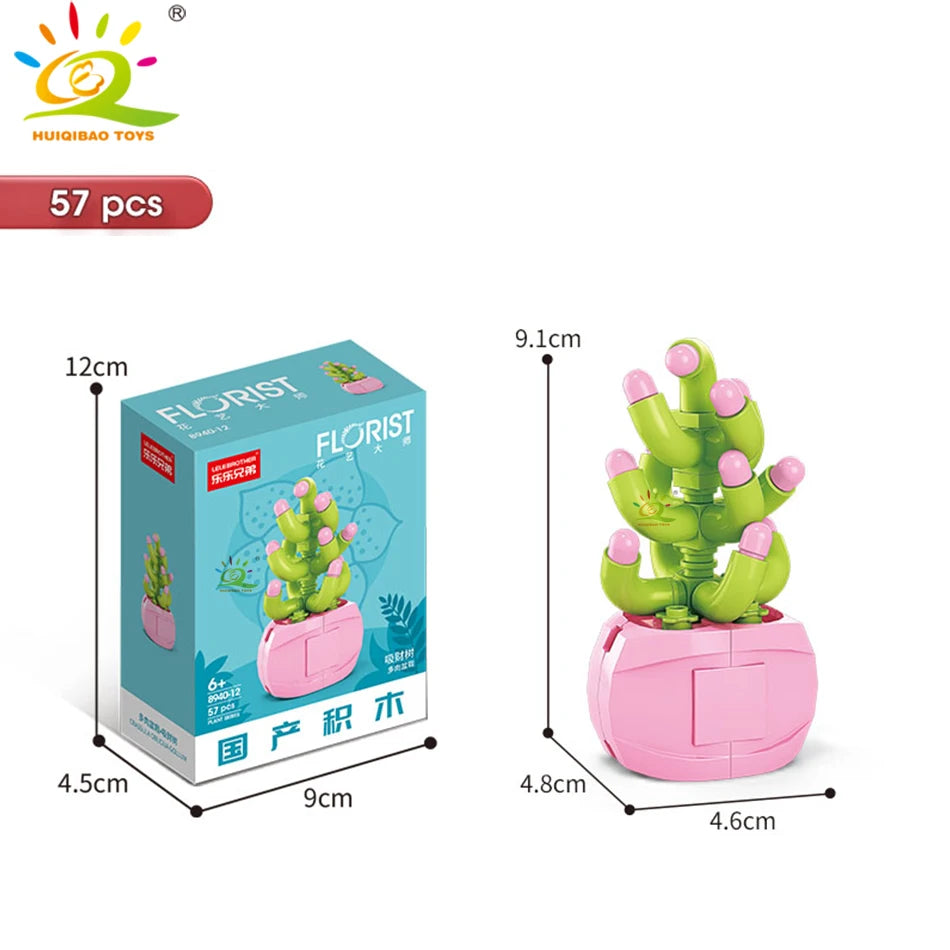 סוקולנט בעציץ מקוביות – עציץ קטן לבחירה – תמונה 7