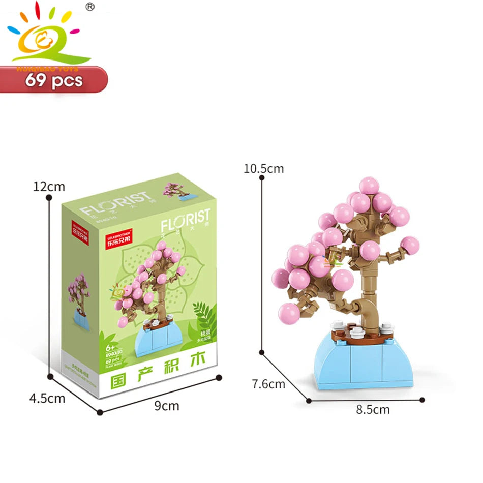 סוקולנט בעציץ מקוביות – עציץ קטן לבחירה – תמונה 8