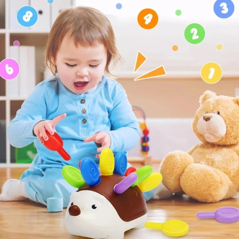 קיפוד מונטסורי לפעוטות – קוצים בצבעים ובמספרים – תמונה 2