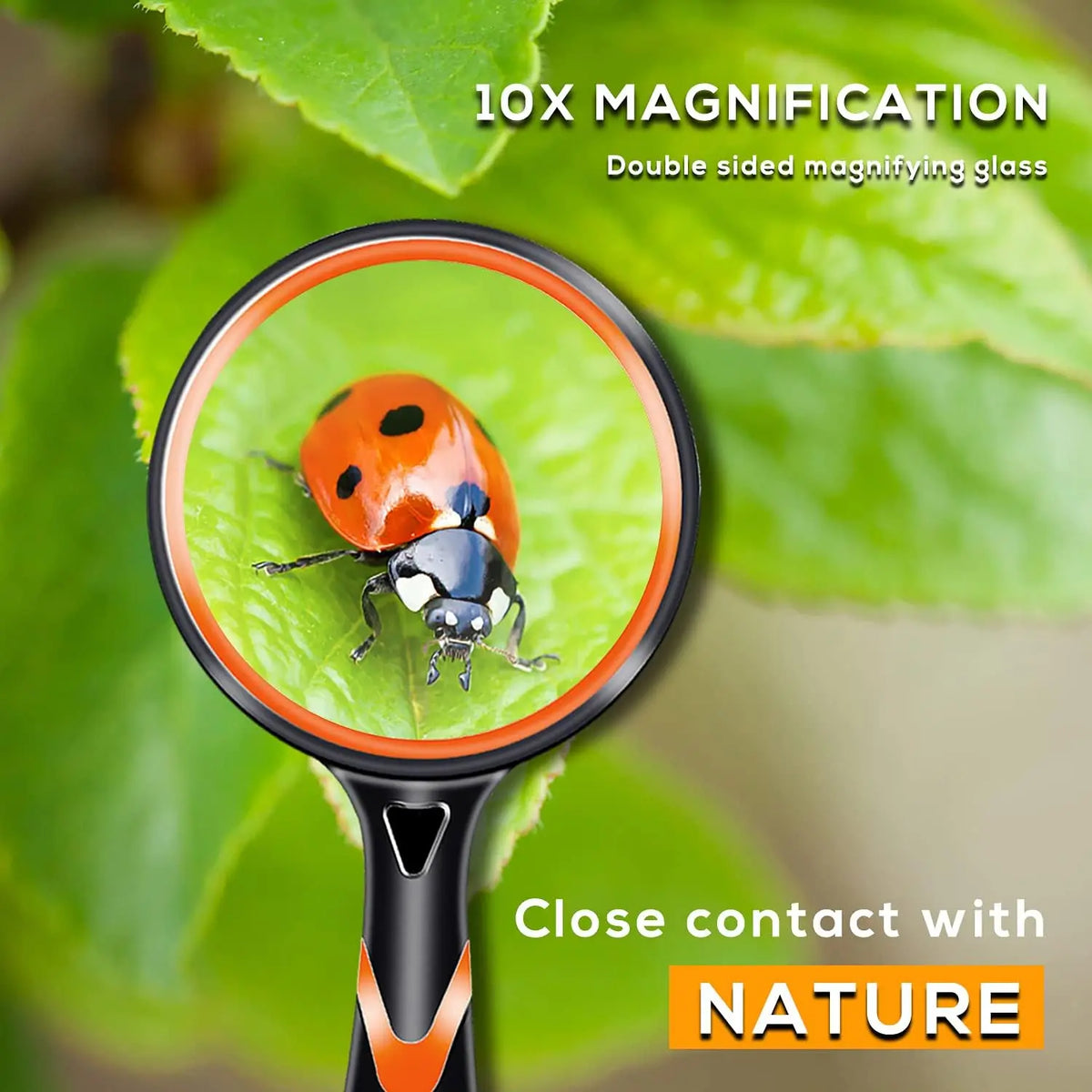 זכוכית מגדלת לילדים פי 10 – עדשה שלא נשברת – תמונה 2